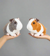 Guinea pig plush soft toy keel toys baby guinea pig replica stuffed pet animal kids birthday gift party bag filler children souvenir