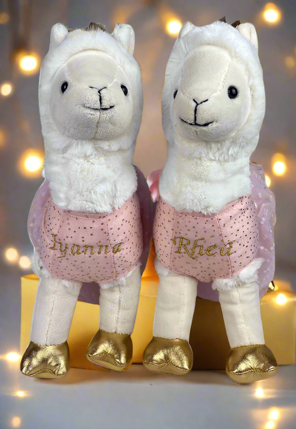 Personalsied LLama Confetti Plush toy