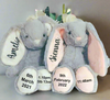 Personalized Bunny Teddy | Soft Toy for New Baby - Ideal Gift for Christmas, Christening, Easter, or Birthday