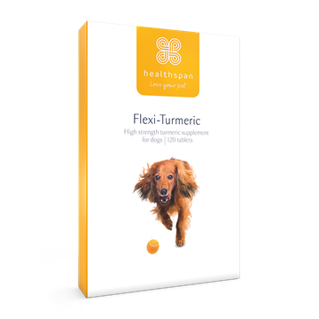 Flexi-Turmeric For Dogs - snugdem boogums\