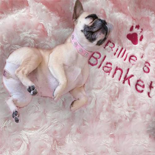 pink pet blanket