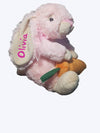 Personalised Rabbit, brown plushie with Carrot, - instige.myshopify.com